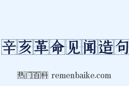 辛亥革命见闻造句是什么意思的图片
